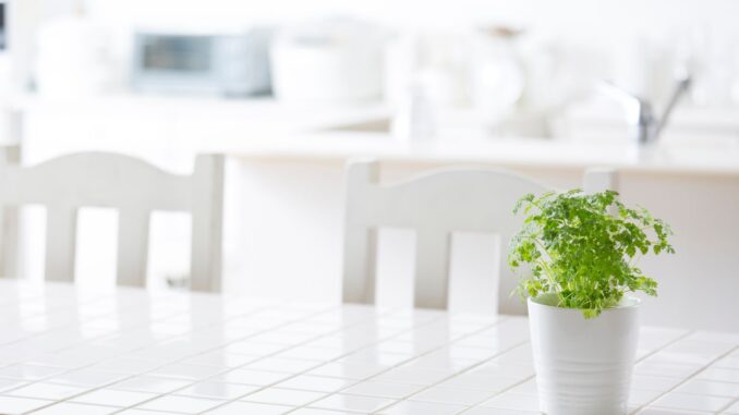 Pourquoi choisir une table demi lune dans sa cuisine ? Pourquoi choisir une table demi lune dans sa cuisine ?